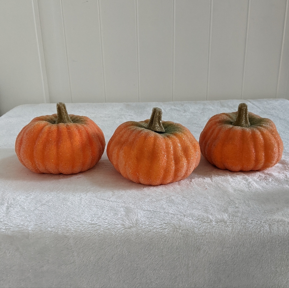 Mini Pumpkins (Bundle of 3)